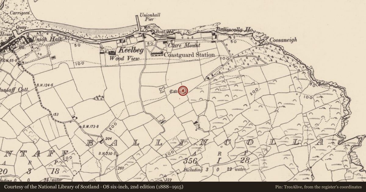 Ordnance Survey six-inch map, 2nd edition (1888–1915) covering the location of Ringfort - rath, Ballincolla, County Cork, with a pin at the register's coordinates