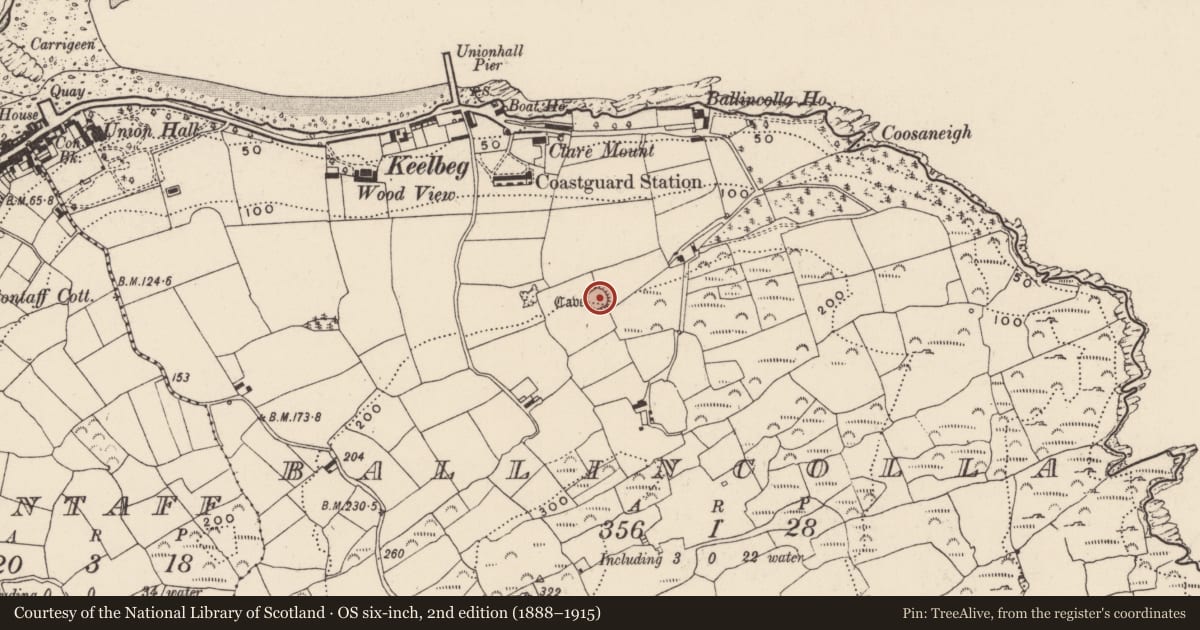 Ordnance Survey six-inch map, 2nd edition (1888–1915) covering the location of Souterrain, Ballincolla, County Cork, with a pin at the register's coordinates