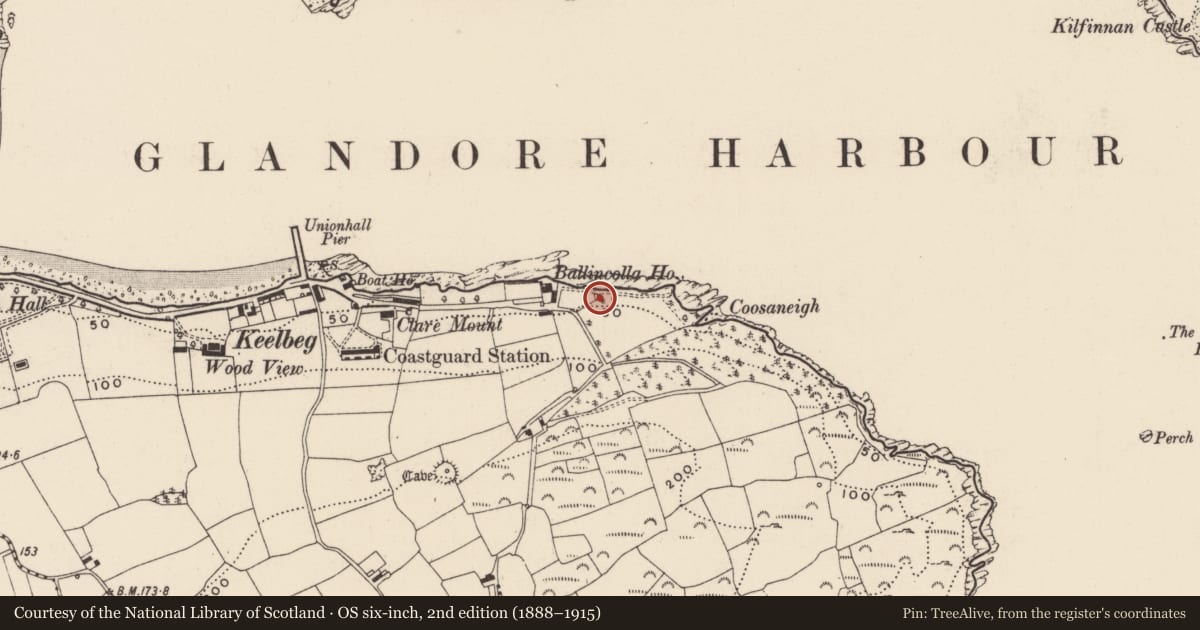 Ordnance Survey six-inch map, 2nd edition (1888–1915) covering the location of Kiln - lime, Ballincolla, County Cork, with a pin at the register's coordinates