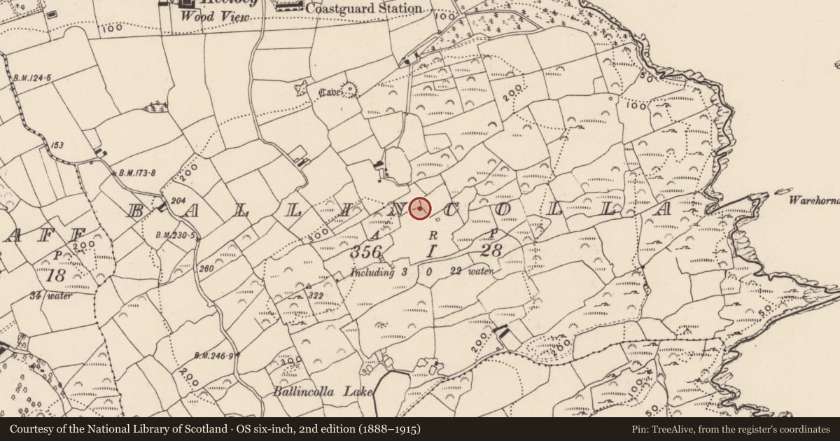Ordnance Survey six-inch map, 2nd edition (1888–1915) covering the location of Ringfort - cashel, Ballincolla, County Cork, with a pin at the register's coordinates
