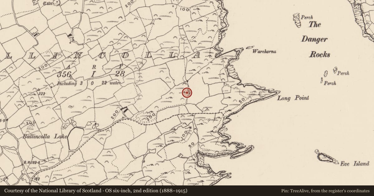 Ordnance Survey six-inch map, 2nd edition (1888–1915) covering the location of Ringfort - cashel, Ballincolla, County Cork, with a pin at the register's coordinates