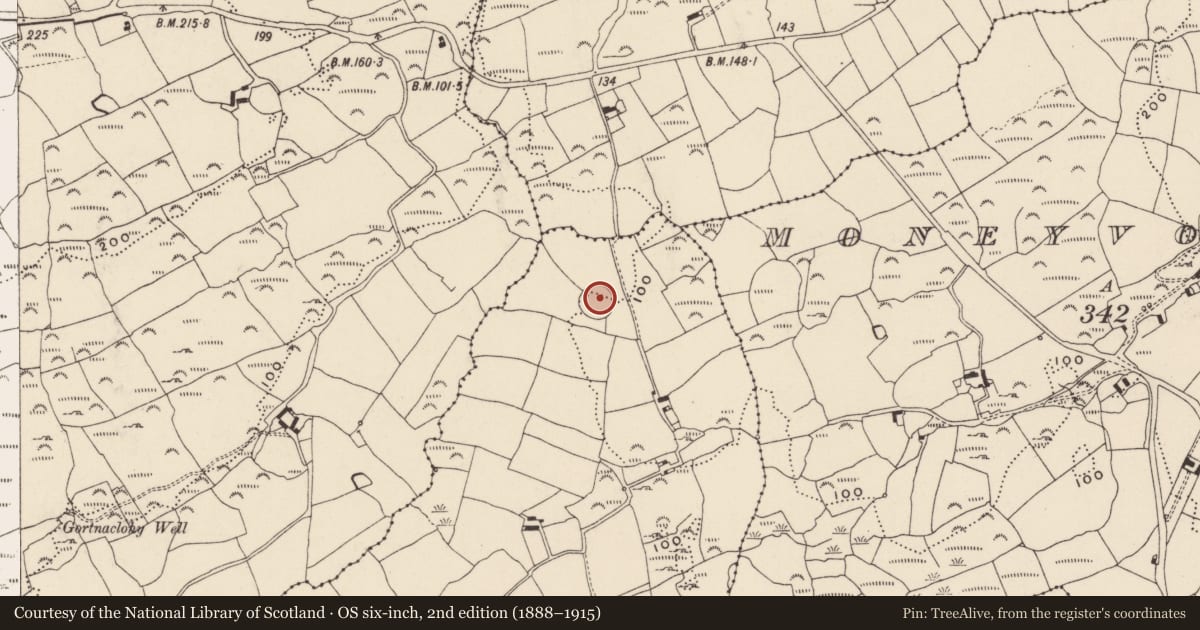 Ordnance Survey six-inch map, 2nd edition (1888–1915) covering the location of Ringfort - rath, Lissarankin, County Cork, with a pin at the register's coordinates
