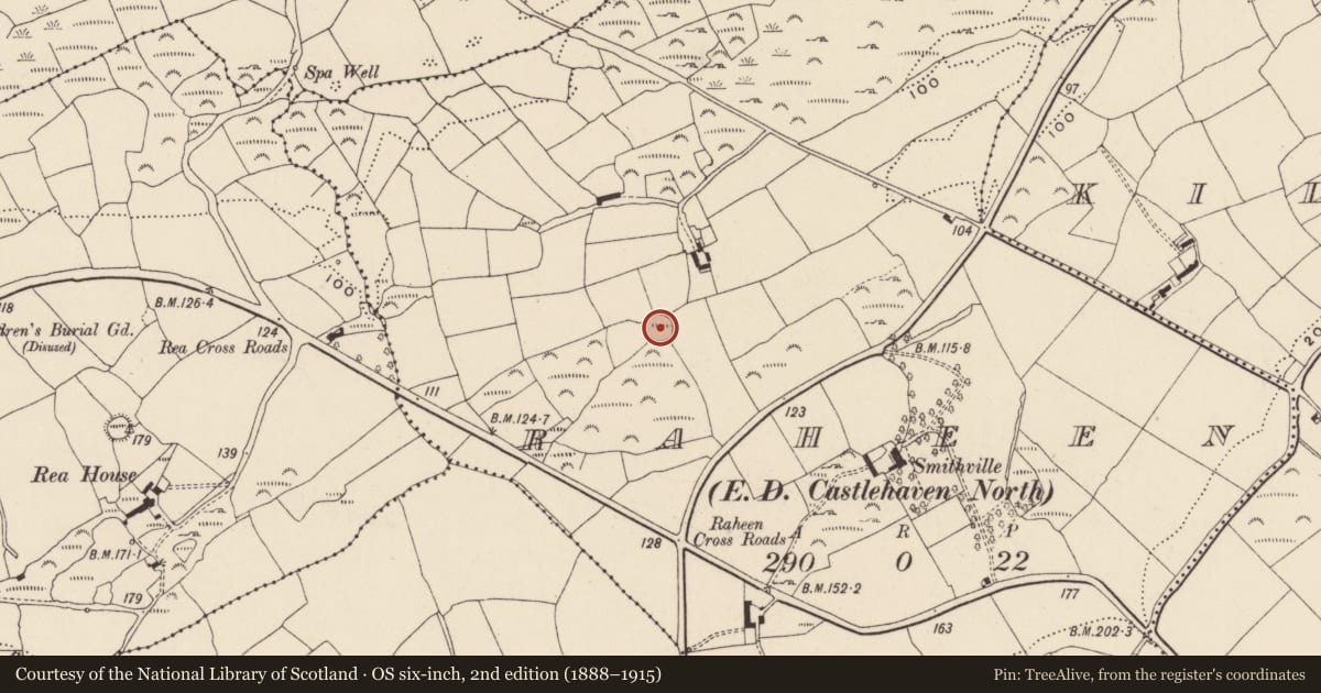 Ordnance Survey six-inch map, 2nd edition (1888–1915) covering the location of Ringfort - rath, Raheen, County Cork, with a pin at the register's coordinates