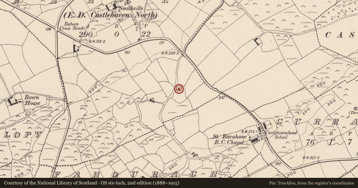 Ordnance Survey six-inch map, 2nd edition (1888–1915) covering the location of Ringfort - rath, Raheen, County Cork, with a pin at the register's coordinates