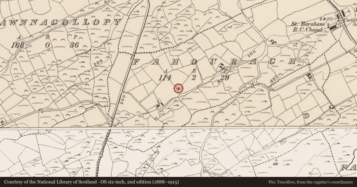 Ordnance Survey six-inch map, 2nd edition (1888–1915) covering the location of Ringfort - rath, Fahouragh, County Cork, with a pin at the register's coordinates