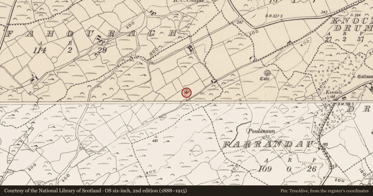 Ordnance Survey six-inch map, 2nd edition (1888–1915) covering the location of Ringfort - rath, Gortbrack, County Cork, with a pin at the register's coordinates