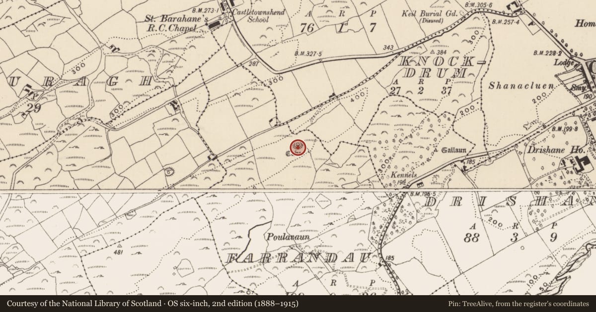 Ordnance Survey six-inch map, 2nd edition (1888–1915) covering the location of Cross-slab, Farrandau, County Cork, with a pin at the register's coordinates
