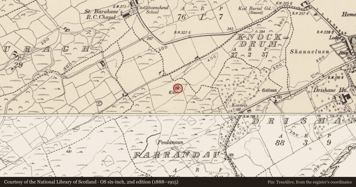 Ordnance Survey six-inch map, 2nd edition (1888–1915) covering the location of Cupmarked stone, Farrandau, County Cork, with a pin at the register's coordinates
