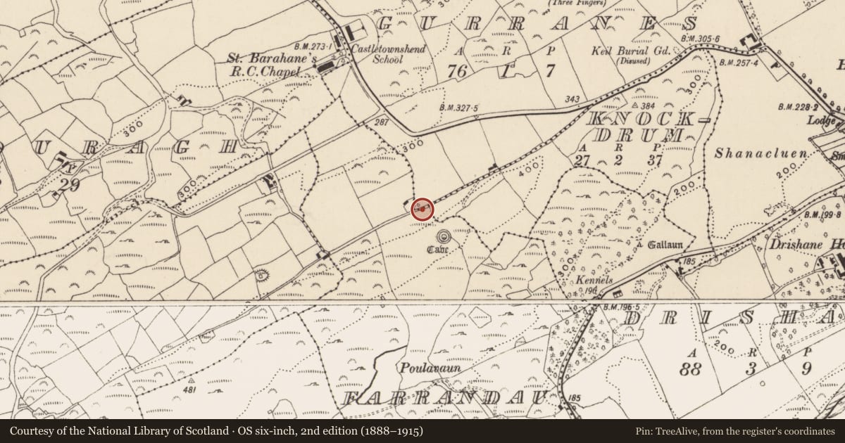 Ordnance Survey six-inch map, 2nd edition (1888–1915) covering the location of Bullaun stone, Gurranes, County Cork, with a pin at the register's coordinates