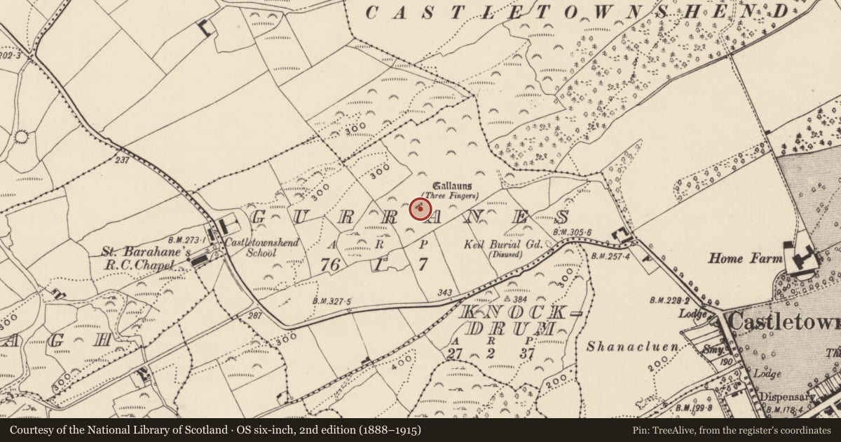 Ordnance Survey six-inch map, 2nd edition (1888–1915) covering the location of Stone row, Gurranes, County Cork, with a pin at the register's coordinates