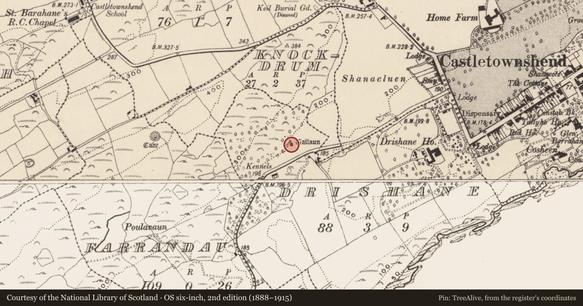 Ordnance Survey six-inch map, 2nd edition (1888–1915) covering the location of Standing stone, Drishane, County Cork, with a pin at the register's coordinates