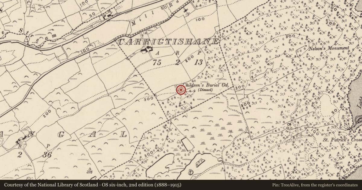 Ordnance Survey six-inch map, 2nd edition (1888–1915) covering the location of Burial ground, Carrigtishane, County Cork, with a pin at the register's coordinates