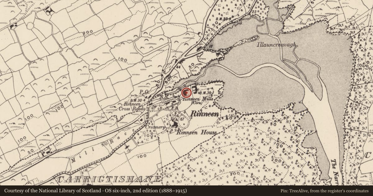 Ordnance Survey six-inch map, 2nd edition (1888–1915) covering the location of Mill - corn, Carrigtishane, County Cork, with a pin at the register's coordinates