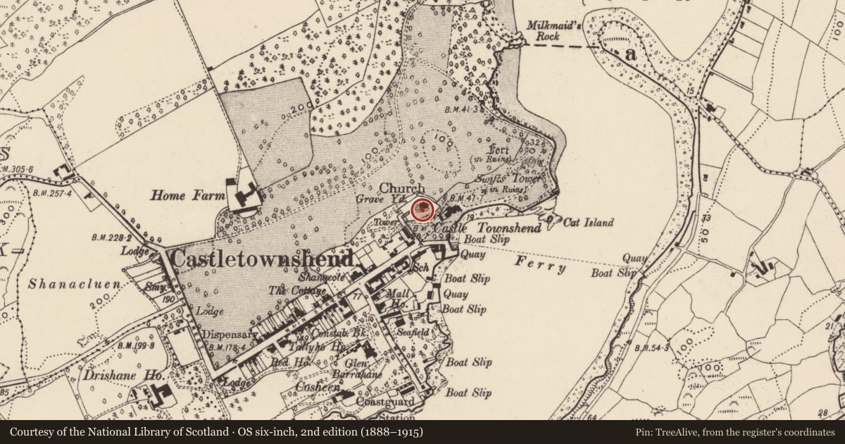 Ordnance Survey six-inch map, 2nd edition (1888–1915) covering the location of Graveyard, Castletownsend, County Cork, with a pin at the register's coordinates