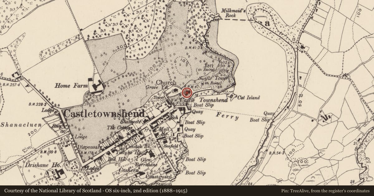 Ordnance Survey six-inch map, 2nd edition (1888–1915) covering the location of Country house, Castletownsend, County Cork, with a pin at the register's coordinates