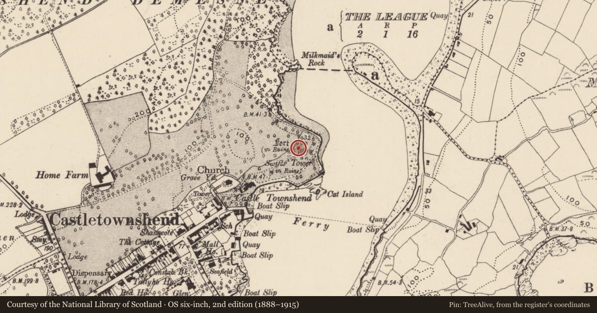 Ordnance Survey six-inch map, 2nd edition (1888–1915) covering the location of Bastioned fort, Castletownsend, County Cork, with a pin at the register's coordinates