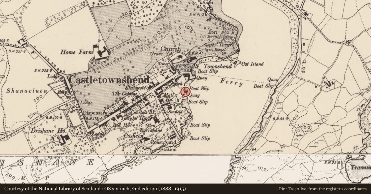 Ordnance Survey six-inch map, 2nd edition (1888–1915) covering the location of Corn store, Castletownsend, County Cork, with a pin at the register's coordinates