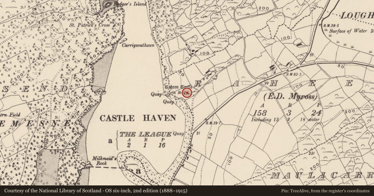 Ordnance Survey six-inch map, 2nd edition (1888–1915) covering the location of Castle - tower house, Raheen, County Cork, with a pin at the register's coordinates