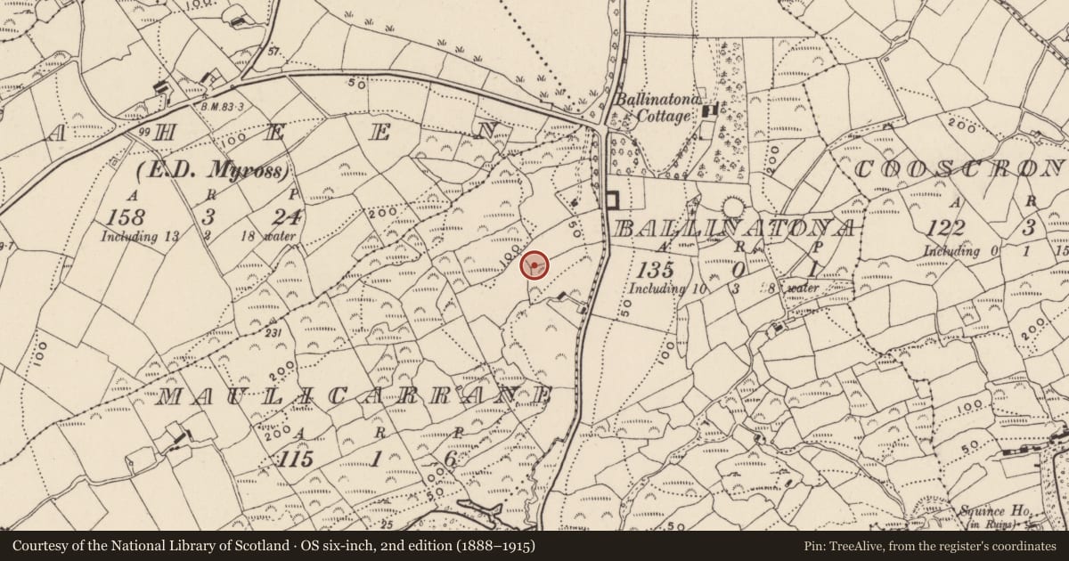 Ordnance Survey six-inch map, 2nd edition (1888–1915) covering the location of Ringfort - rath, Maulicarrane, County Cork, with a pin at the register's coordinates