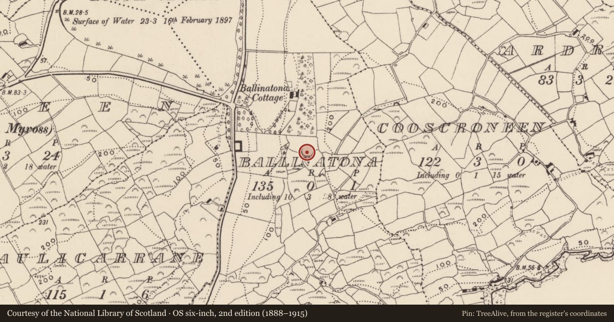 Ordnance Survey six-inch map, 2nd edition (1888–1915) covering the location of Ringfort - rath, Ballinatona, County Cork, with a pin at the register's coordinates