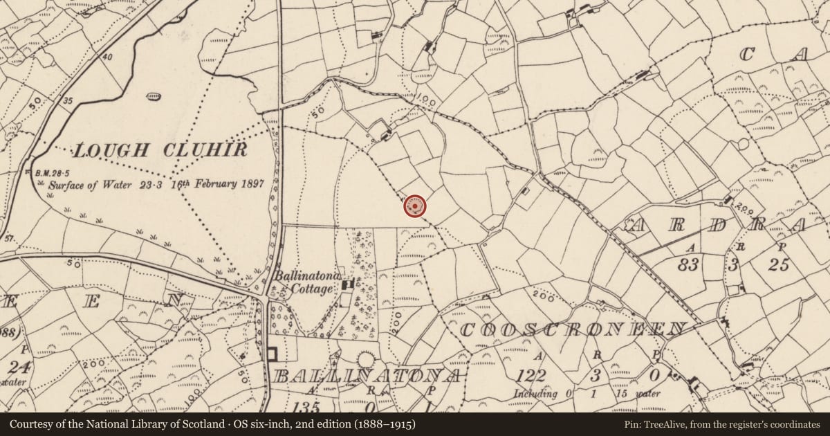 Ordnance Survey six-inch map, 2nd edition (1888–1915) covering the location of Ringfort - rath, Cooscroneen, County Cork, with a pin at the register's coordinates