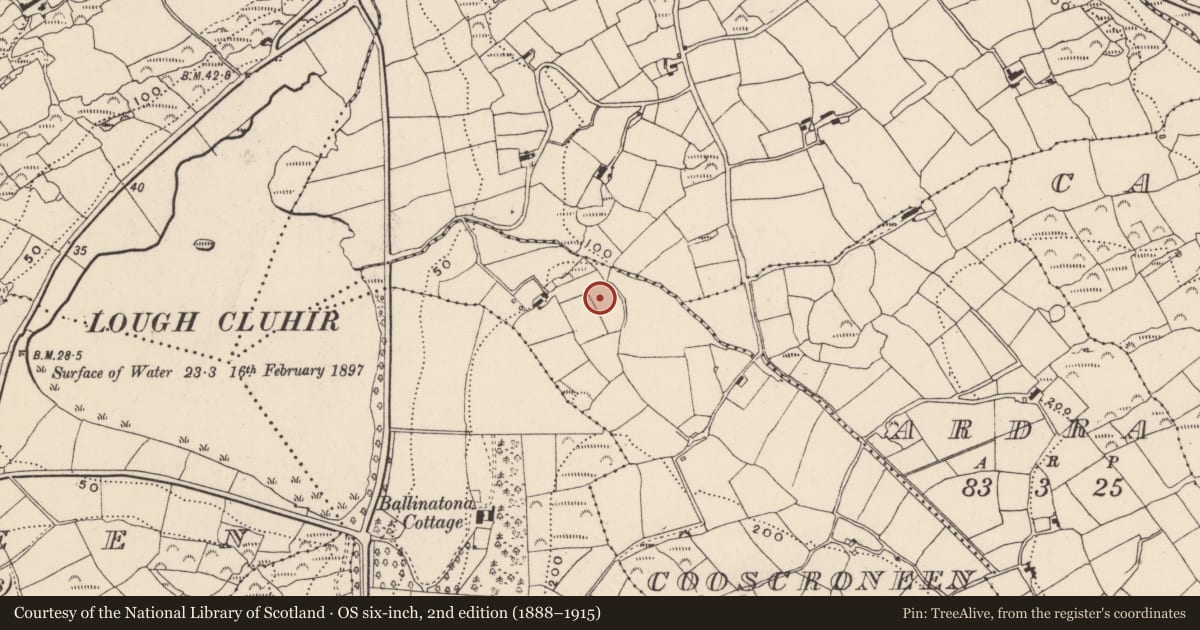 Ordnance Survey six-inch map, 2nd edition (1888–1915) covering the location of Mound, Cooscroneen, County Cork, with a pin at the register's coordinates