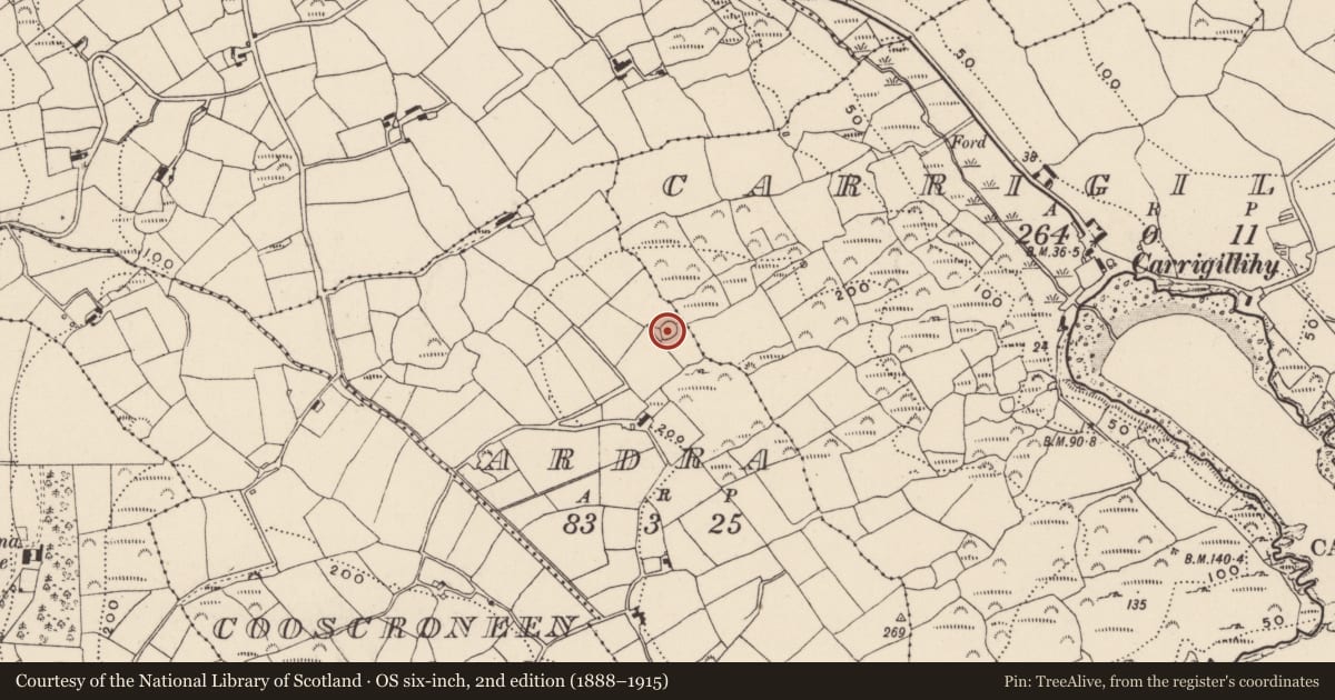 Ordnance Survey six-inch map, 2nd edition (1888–1915) covering the location of Ringfort - rath, Ardra, County Cork, with a pin at the register's coordinates