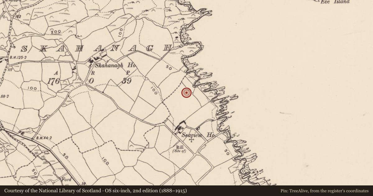 Ordnance Survey six-inch map, 2nd edition (1888–1915) covering the location of Enclosure, Carrigillihy, County Cork, with a pin at the register's coordinates