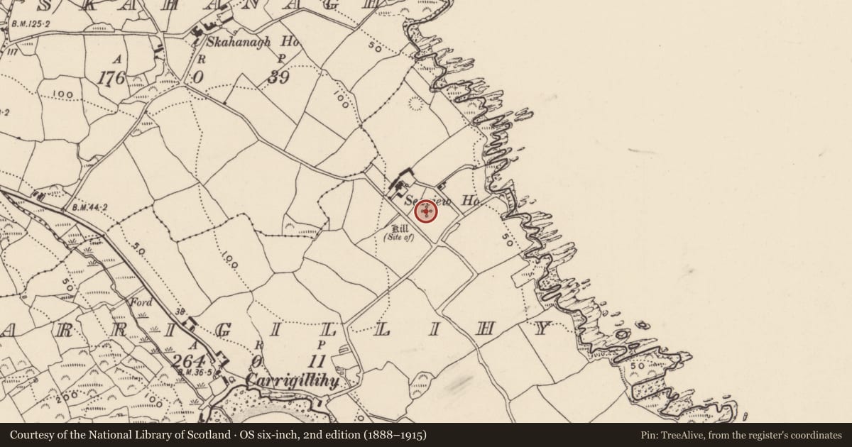 Ordnance Survey six-inch map, 2nd edition (1888–1915) covering the location of Burial ground, Carrigillihy, County Cork, with a pin at the register's coordinates