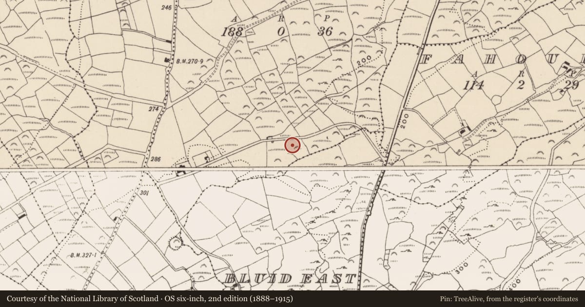 Ordnance Survey six-inch map, 2nd edition (1888–1915) covering the location of Church, Bawnnagollopy (Carbery West By., Castlehaven Par.), County Cork, with a pin at the register's coordinates