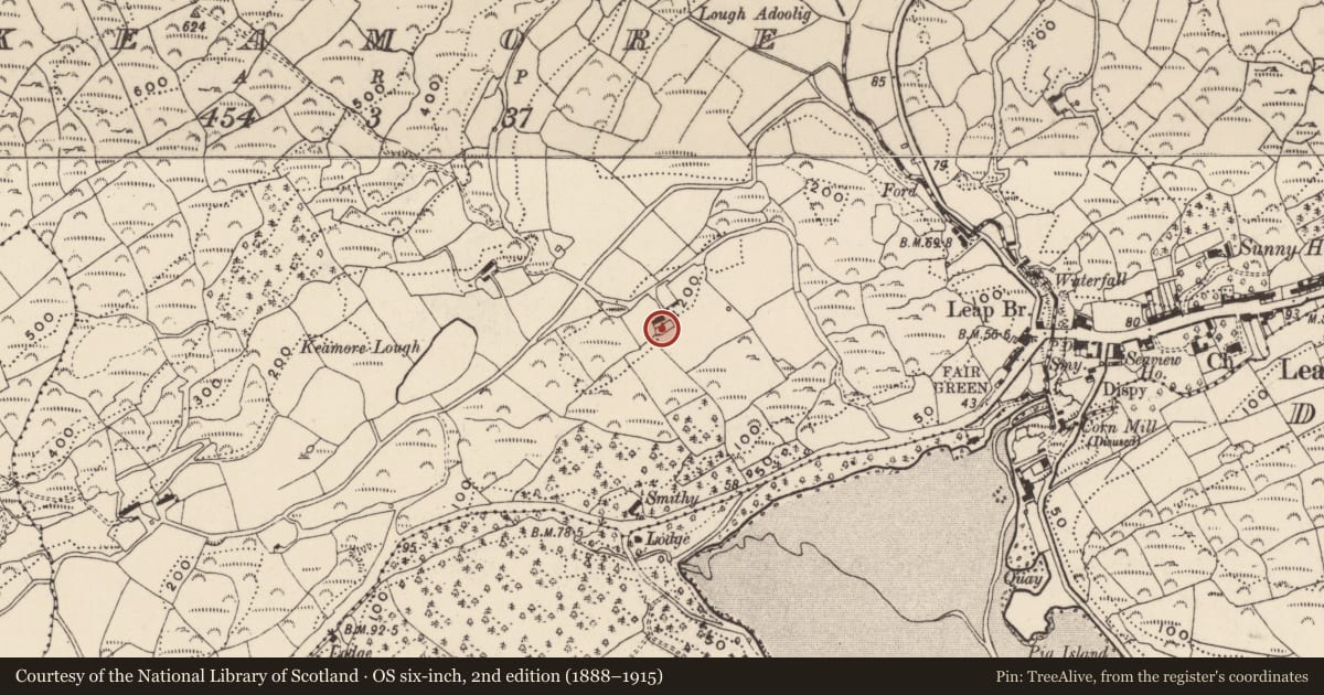 Ordnance Survey six-inch map, 2nd edition (1888–1915) covering the location of Country house, Keamore, County Cork, with a pin at the register's coordinates