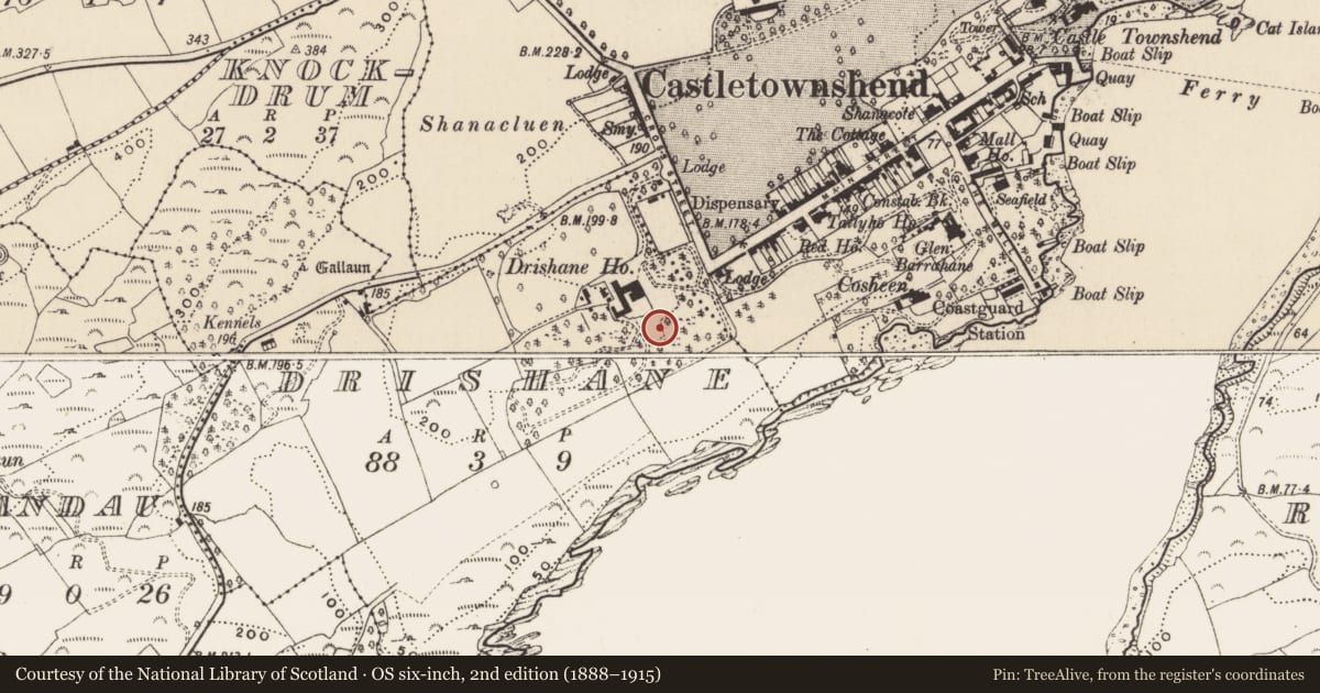 Ordnance Survey six-inch map, 2nd edition (1888–1915) covering the location of Cupmarked stone, Drishane, County Cork, with a pin at the register's coordinates