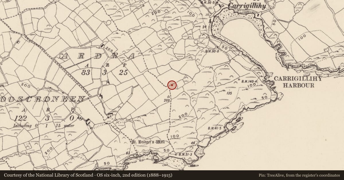 Ordnance Survey six-inch map, 2nd edition (1888–1915) covering the location of Children's burial ground, Carrigillihy, County Cork, with a pin at the register's coordinates