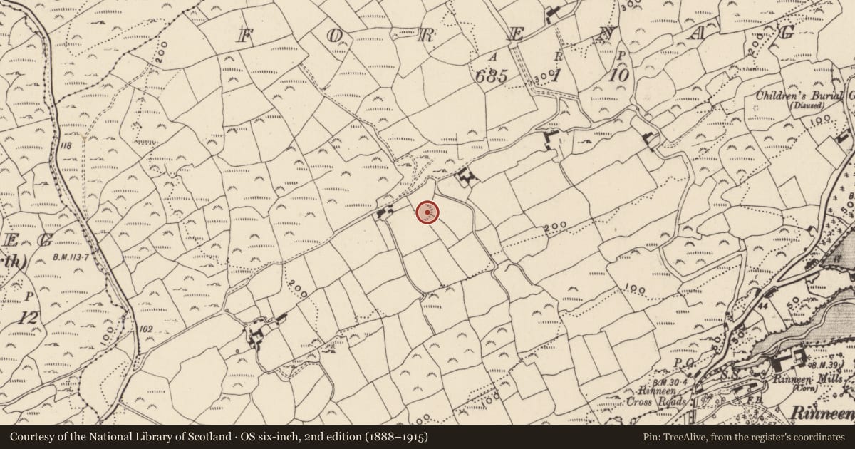 Ordnance Survey six-inch map, 2nd edition (1888–1915) covering the location of Souterrain, Forenaght, County Cork, with a pin at the register's coordinates