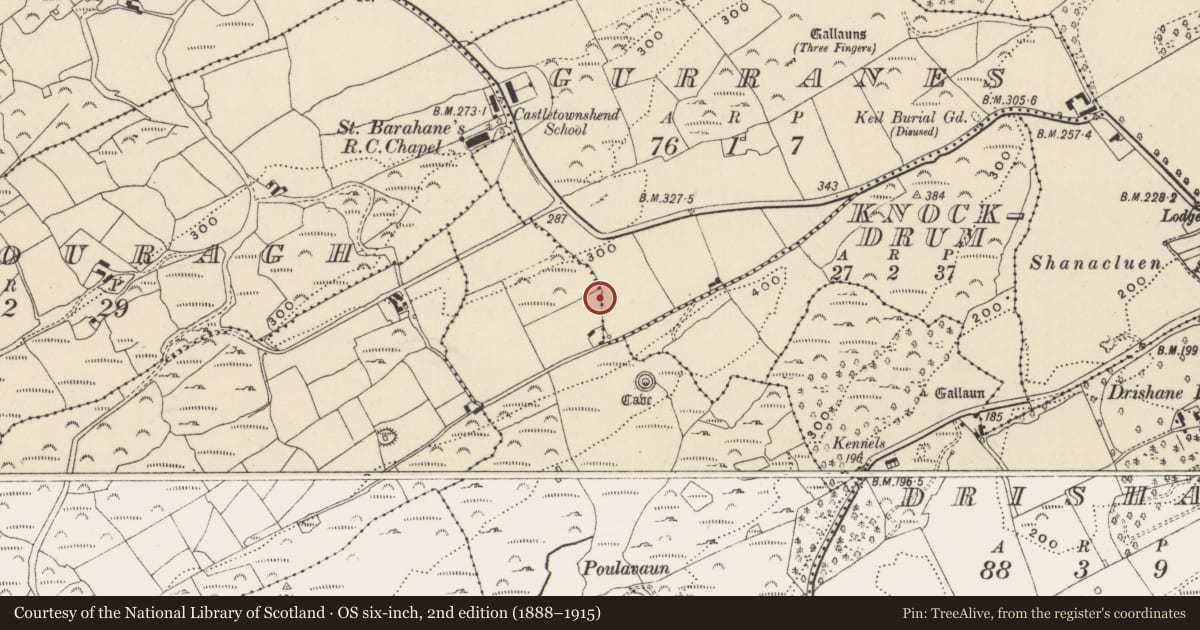 Ordnance Survey six-inch map, 2nd edition (1888–1915) covering the location of Fulacht fia, Gurranes, County Cork, with a pin at the register's coordinates