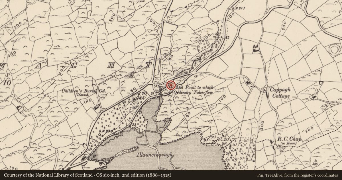 Ordnance Survey six-inch map, 2nd edition (1888–1915) covering the location of Church, Bawnlahan (Carbery West (W.D.) By., Myross Par.), County Cork, with a pin at the register's coordinates
