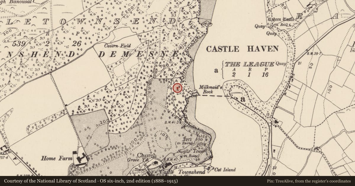 Ordnance Survey six-inch map, 2nd edition (1888–1915) covering the location of Structure, Castletownsend, County Cork, with a pin at the register's coordinates
