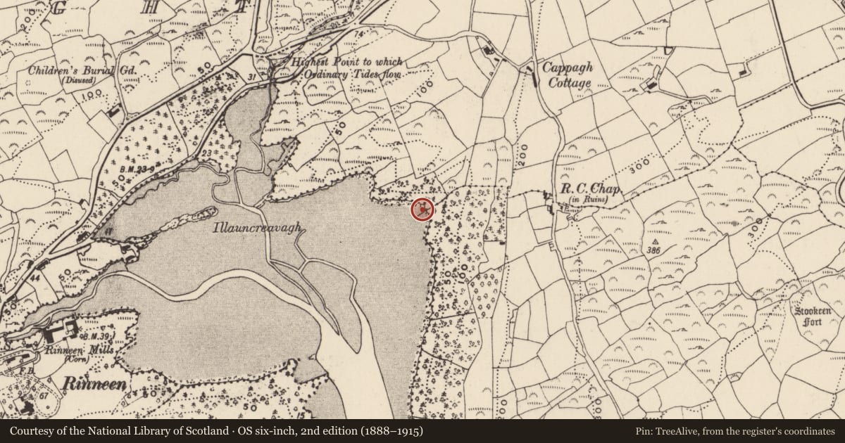 Ordnance Survey six-inch map, 2nd edition (1888–1915) covering the location of Field boundary, Bawnlahan (Carbery West By., Castlehaven Par.), County Cork, with a pin at the register's coordinates