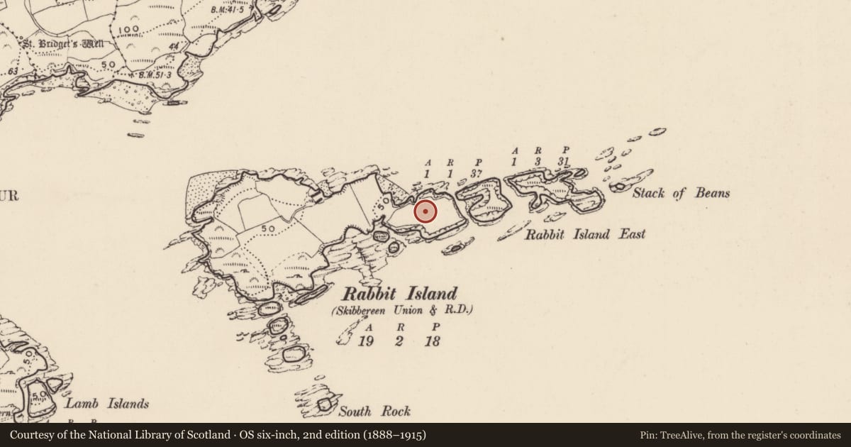 Ordnance Survey six-inch map, 2nd edition (1888–1915) covering the location of Promontory fort - coastal, Rabbit Island, County Cork, with a pin at the register's coordinates