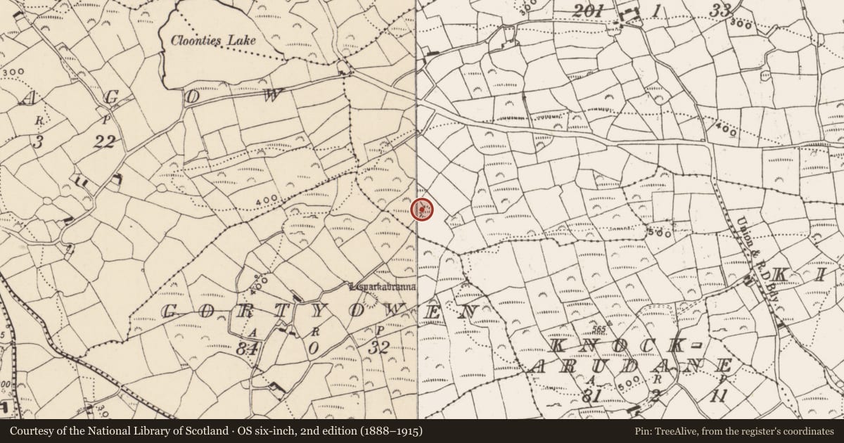 Ordnance Survey six-inch map, 2nd edition (1888–1915) covering the location of Ringfort - rath, Kilbeg, County Cork, with a pin at the register's coordinates