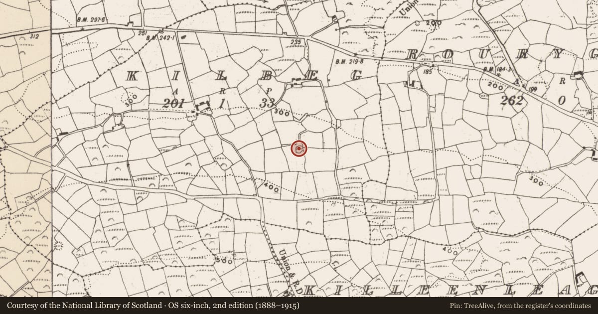 Ordnance Survey six-inch map, 2nd edition (1888–1915) covering the location of Ringfort - cashel, Kilbeg, County Cork, with a pin at the register's coordinates