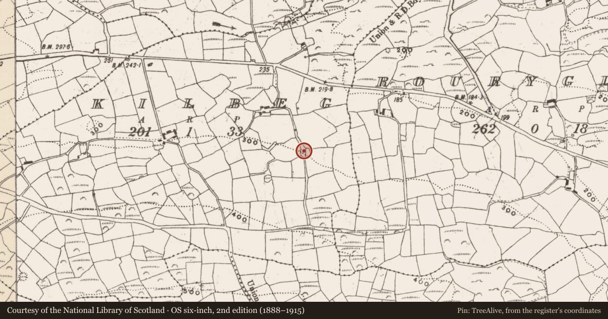 Ordnance Survey six-inch map, 2nd edition (1888–1915) covering the location of Ringfort - cashel, Kilbeg, County Cork, with a pin at the register's coordinates