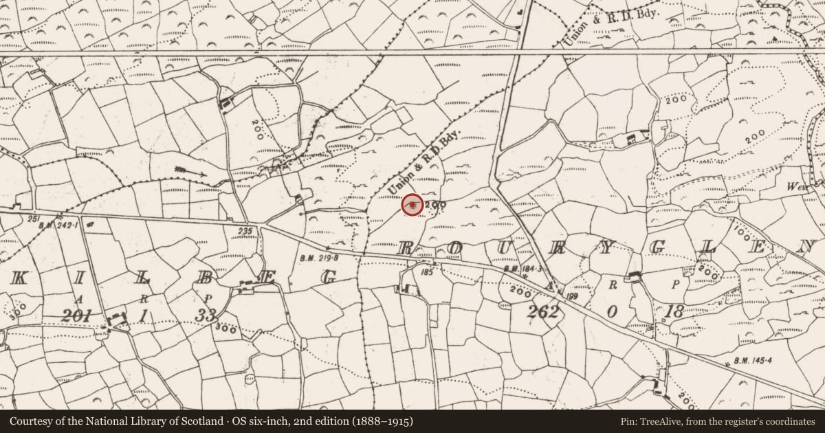 Ordnance Survey six-inch map, 2nd edition (1888–1915) covering the location of Enclosure, Rouryglen, County Cork, with a pin at the register's coordinates