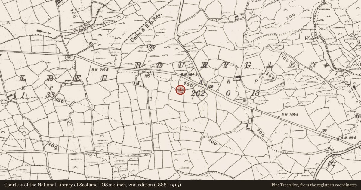 Ordnance Survey six-inch map, 2nd edition (1888–1915) covering the location of Enclosure, Rouryglen, County Cork, with a pin at the register's coordinates