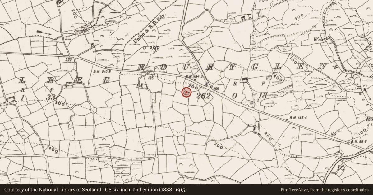 Ordnance Survey six-inch map, 2nd edition (1888–1915) covering the location of Standing stone, Rouryglen, County Cork, with a pin at the register's coordinates