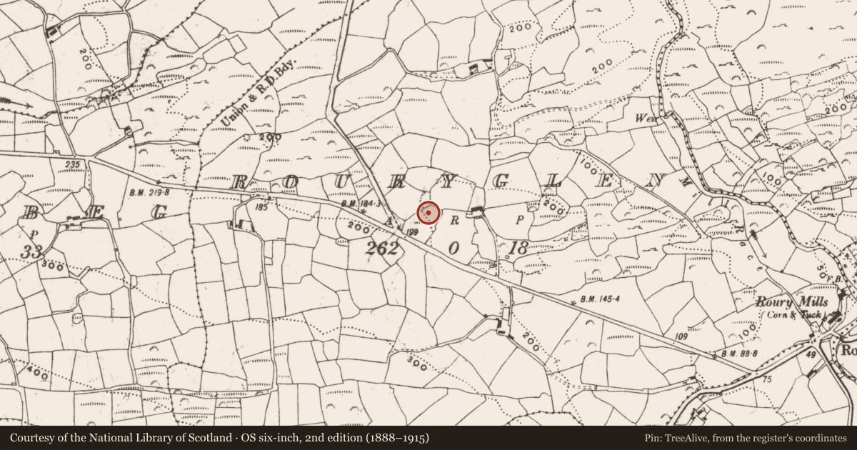 Ordnance Survey six-inch map, 2nd edition (1888–1915) covering the location of Ringfort - rath, Rouryglen, County Cork, with a pin at the register's coordinates