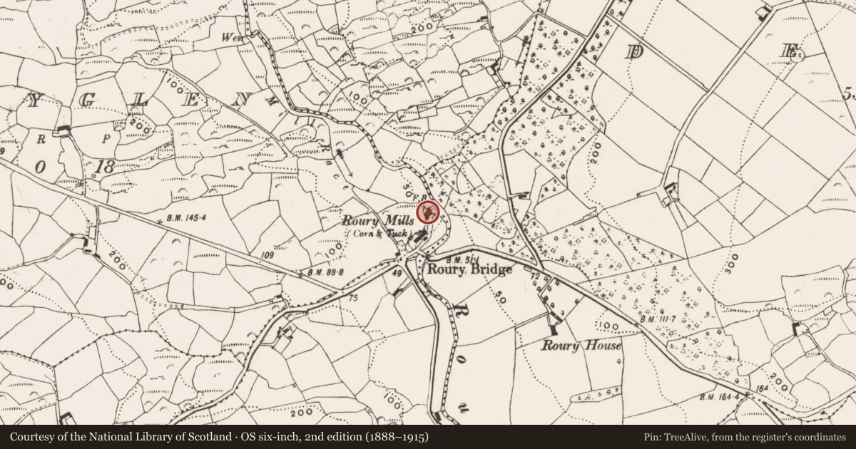 Ordnance Survey six-inch map, 2nd edition (1888–1915) covering the location of Mill - fulling, Rouryglen, County Cork, with a pin at the register's coordinates