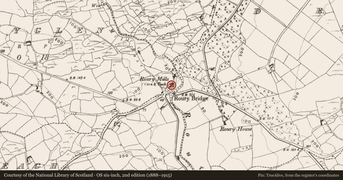 Ordnance Survey six-inch map, 2nd edition (1888–1915) covering the location of Milling complex, Rouryglen, County Cork, with a pin at the register's coordinates