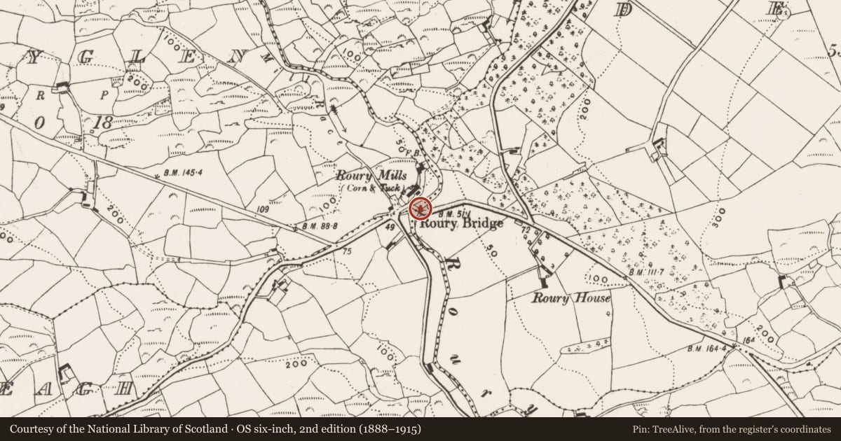 Ordnance Survey six-inch map, 2nd edition (1888–1915) covering the location of Bridge, Rouryglen, County Cork, with a pin at the register's coordinates