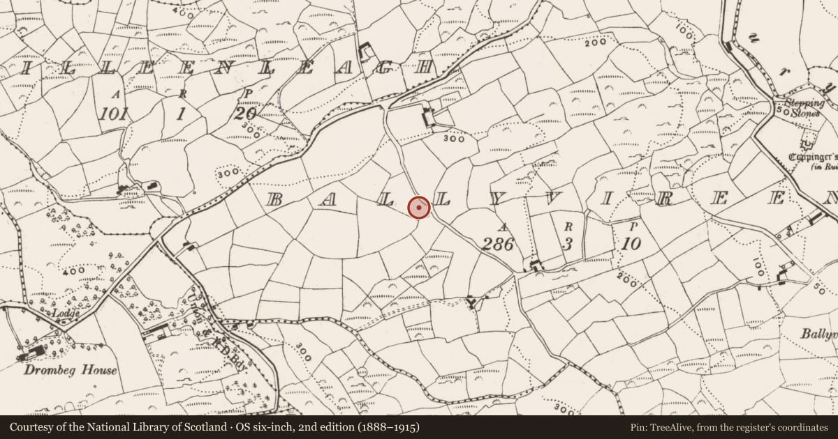 Ordnance Survey six-inch map, 2nd edition (1888–1915) covering the location of Ringfort - rath, Ballyvireen, County Cork, with a pin at the register's coordinates